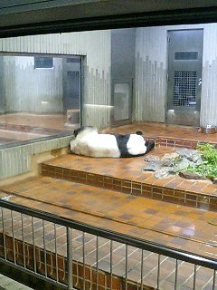 image/yoshimi-2005-09-25T10:58:37-1.jpg